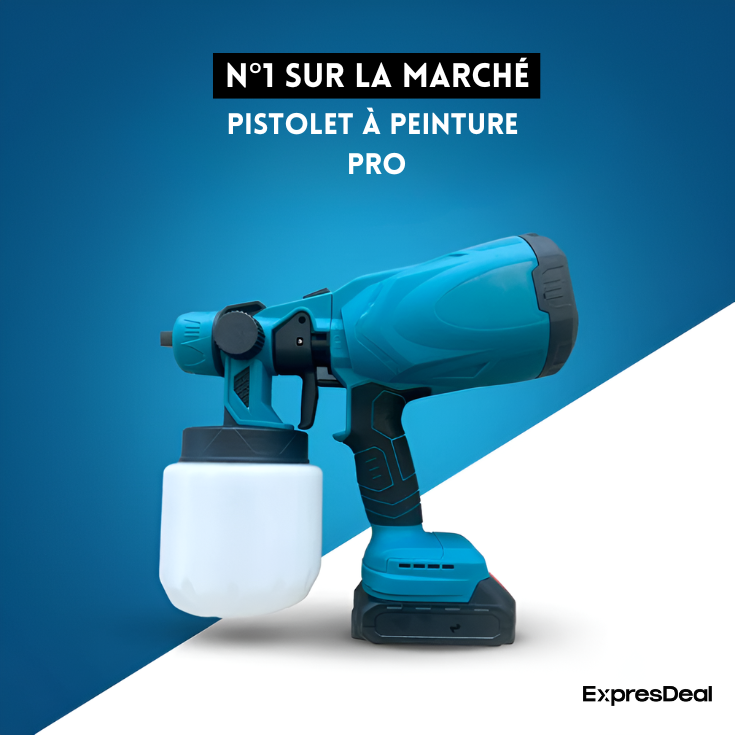 Pistolet à Peinture Pro